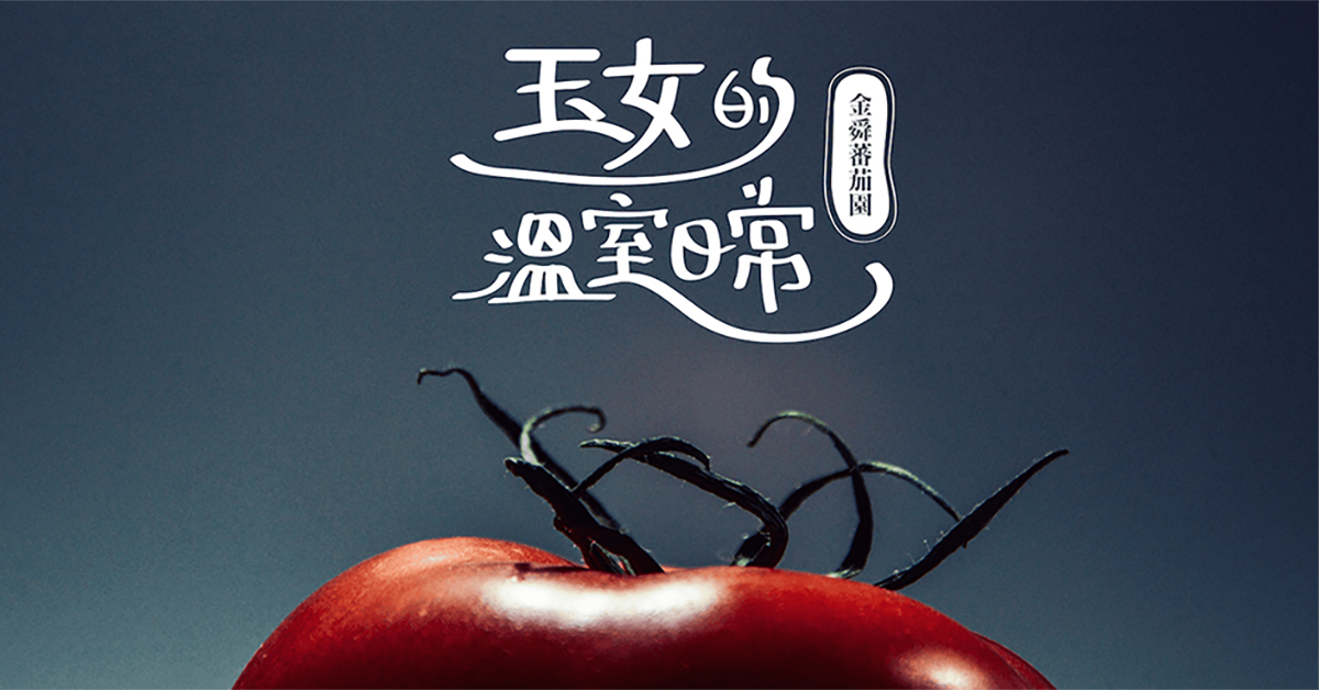 【友善栽植】金舜番茄園-玉女番茄的溫室日常