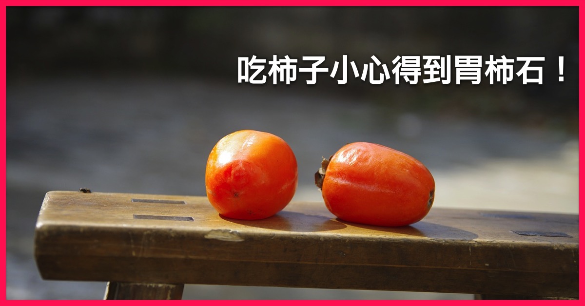 吃柿子小心得到胃柿石！