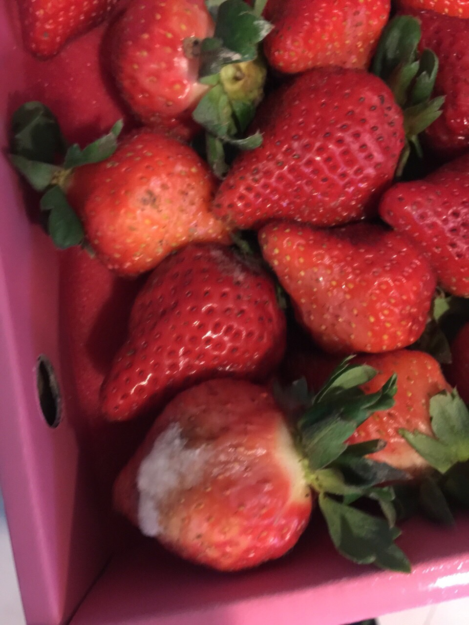 發霉的草莓