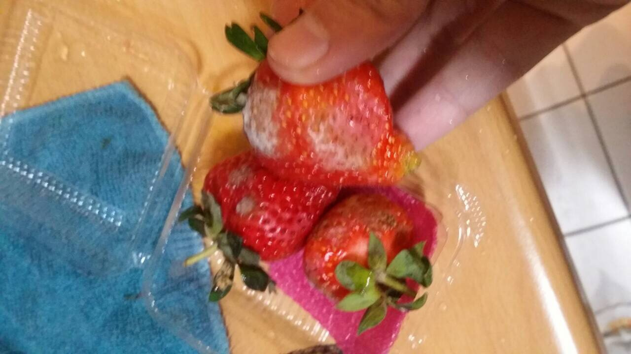 發霉的草莓
