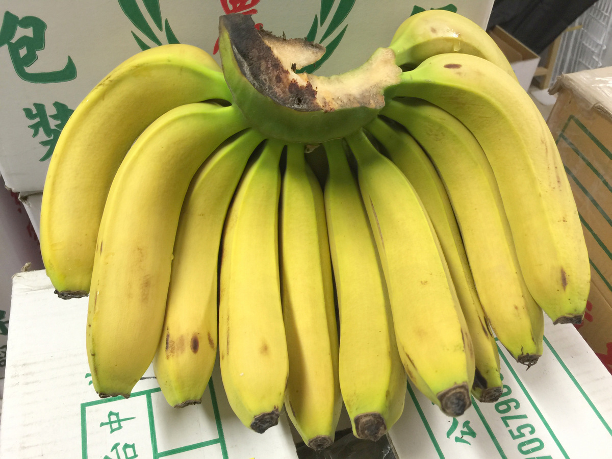 香蕉图片大全-正图网