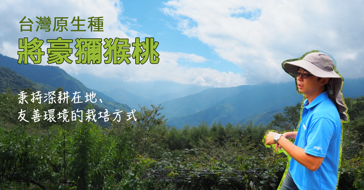 【青年農業的抱負】台灣原生種將豪獼猴桃