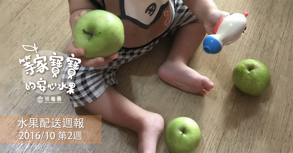 【等家寶寶水果配送週報】第7週