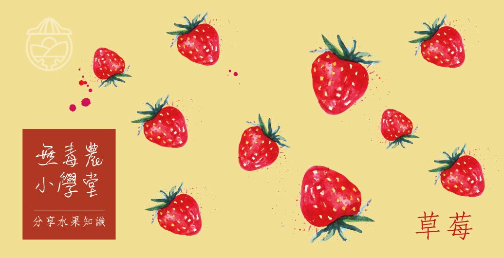 【無毒農小學堂】酸酸甜甜　草莓
