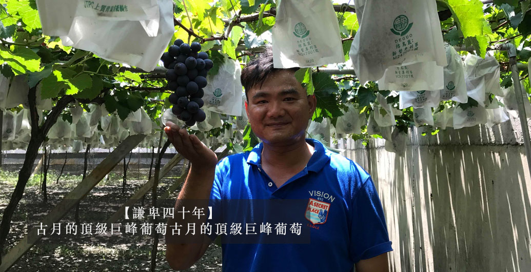 【傳承四十年】古月的頂級精品巨峰葡萄