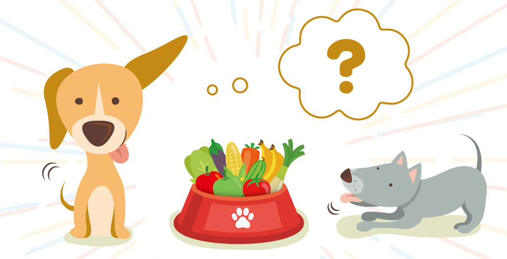 狗狗不能吃的蔬菜水果！！