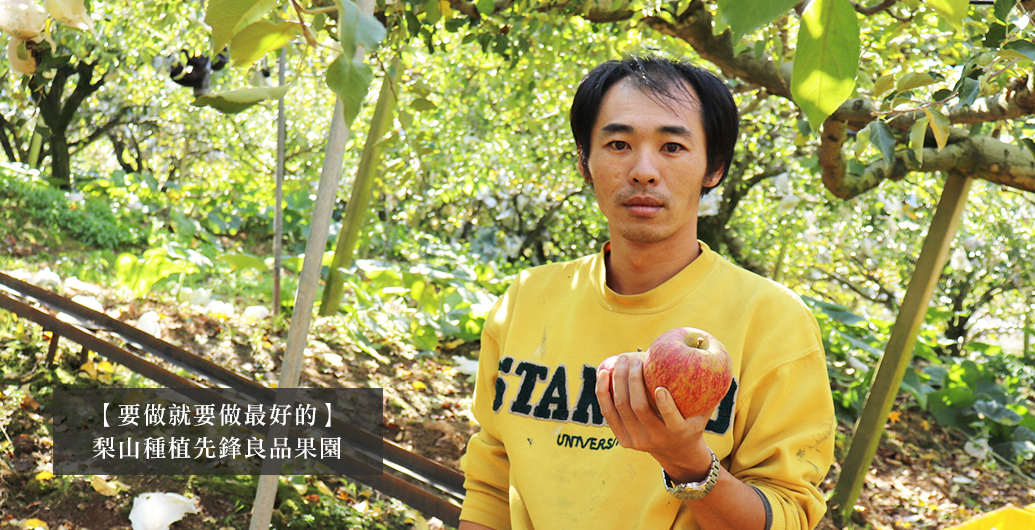 ​【要做就要做最好的蜜蘋果】梨山種植先鋒良品果園