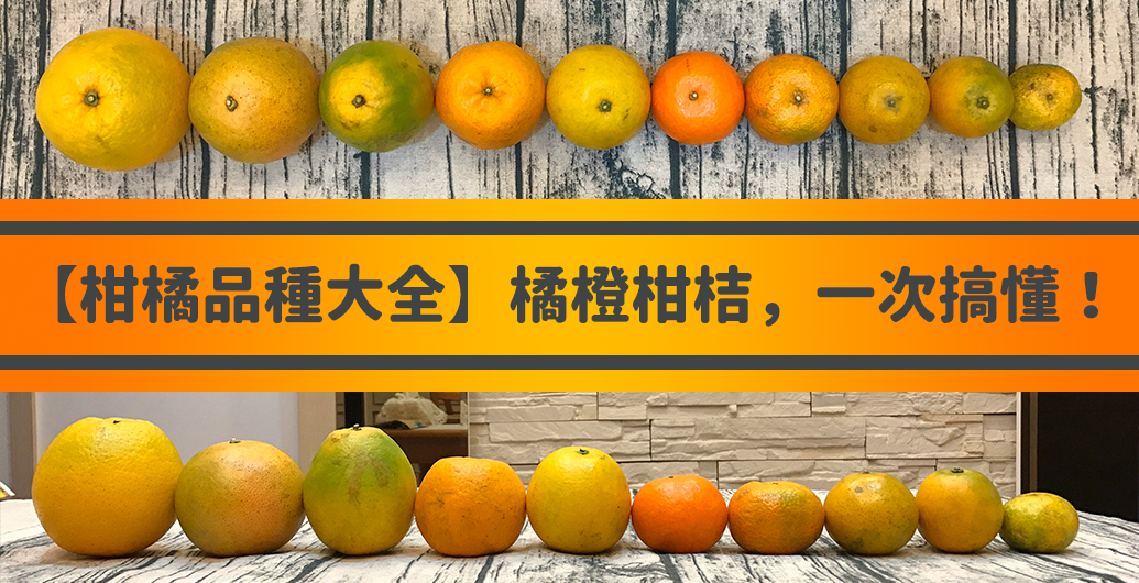 【柑橘品種大全】柑橘季必吃的橘、橙、柑、桔一次搞懂！