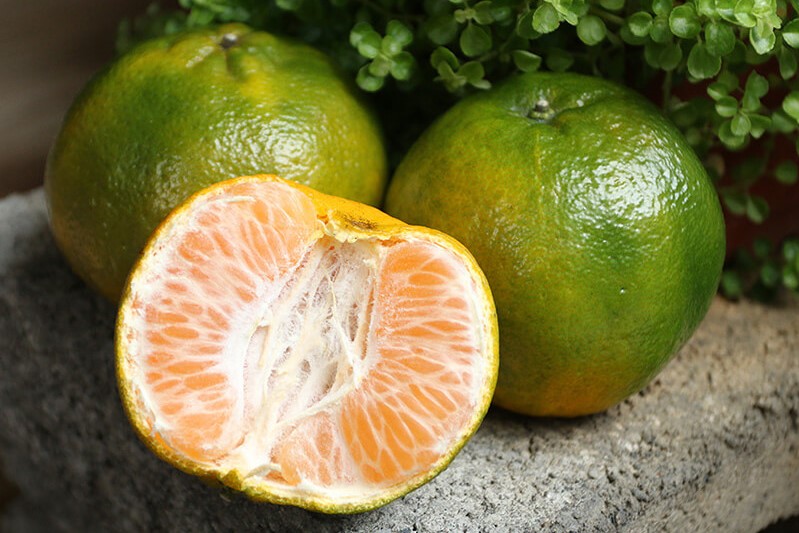 柑橘類-青皮椪柑/年柑