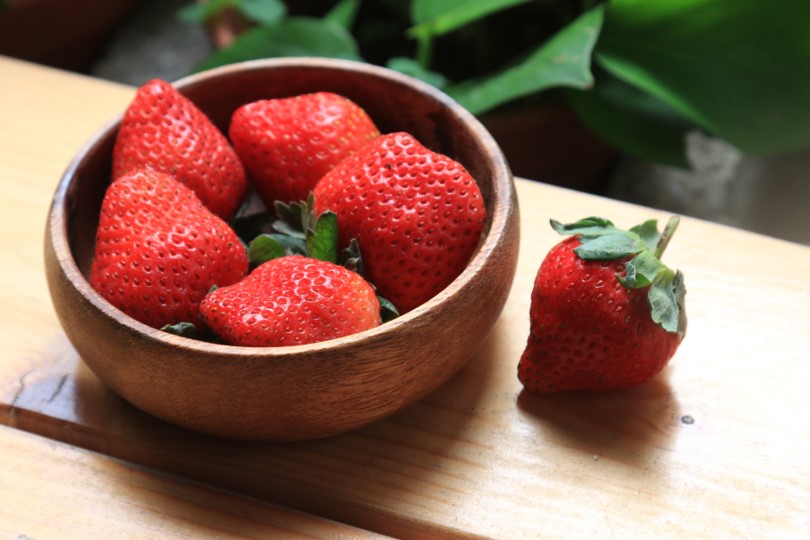 豐香草莓,草莓,苗栗,有機,無毒農,品種