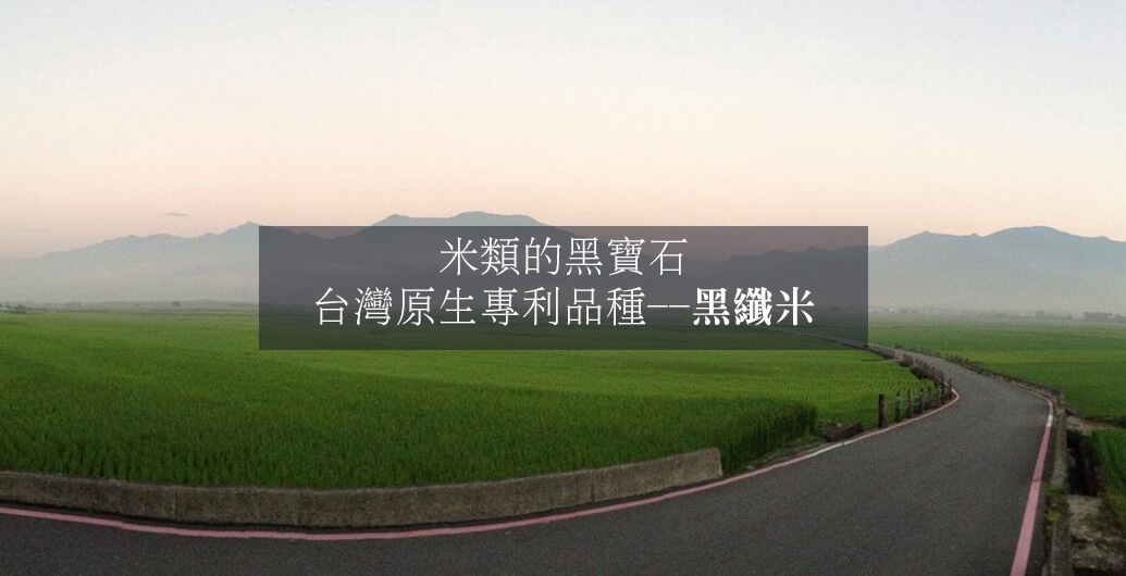 【米類的黑寶石】台灣原生專利品種––黑纖米