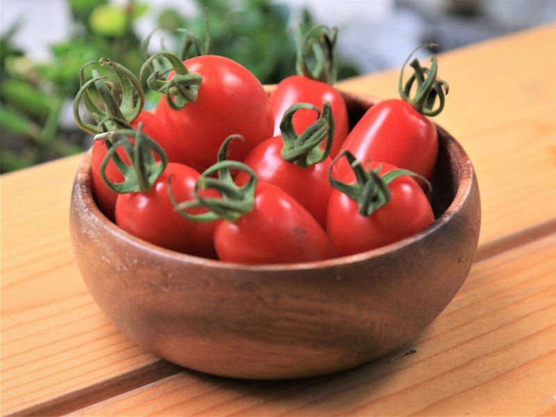 小番茄產季,橙蜜香小番茄,茄紅素,小番茄,小番茄營養,抗氧化食物,玉女小番茄