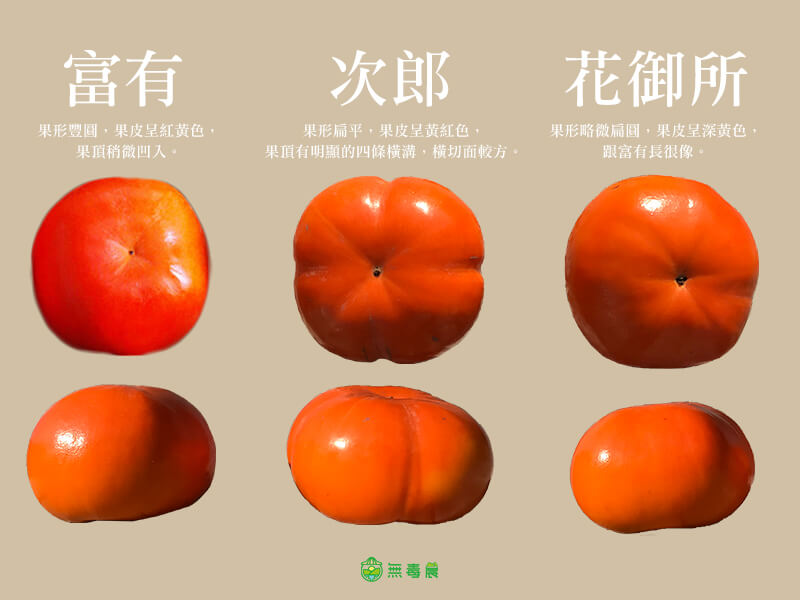 柿子品種對比圖