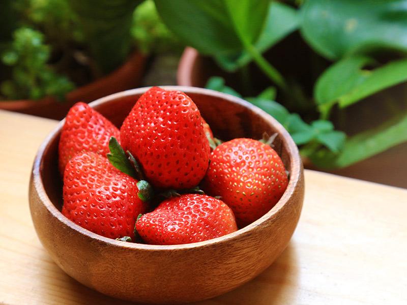 有機無毒草莓去哪買？６間網購也能買到的有機無毒草莓農場