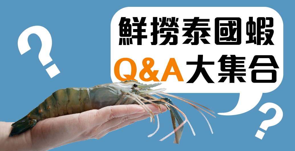 鮮撈泰國蝦Q-A大集合，你想問的都在這裡！