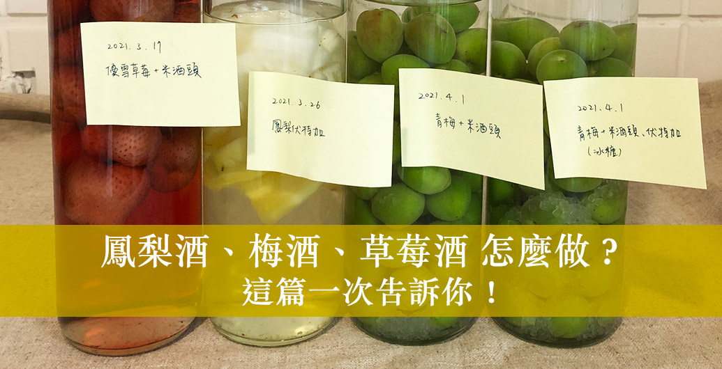【水果酒DIY大全】鳳梨酒、梅酒、草莓酒怎麼做？超詳細步驟一次告訴你！