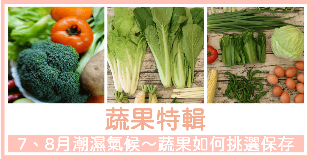 【蔬果保存特輯】7、8月潮濕的氣候，蔬果如何挑選、保存？