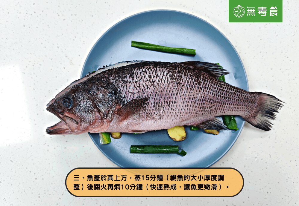 魚 蒸魚 清蒸 鱸魚 港式