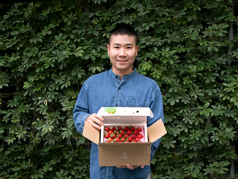 草莓換新衣！生鮮電商無毒農減法設計改造禮盒包裝，讓減塑行動融入生活！