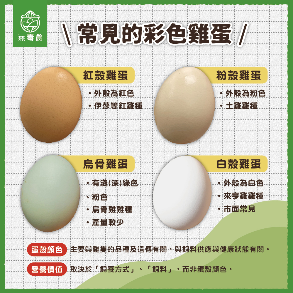 雞蛋 雞蛋料理 蛋黃顏色 蛋殼顏色 雞蛋比較 機能蛋 紅殼蛋 雞蛋營養 蛋營養 蛋殼粗 蛋殼粗糙 蛋殼光滑 葉黃素