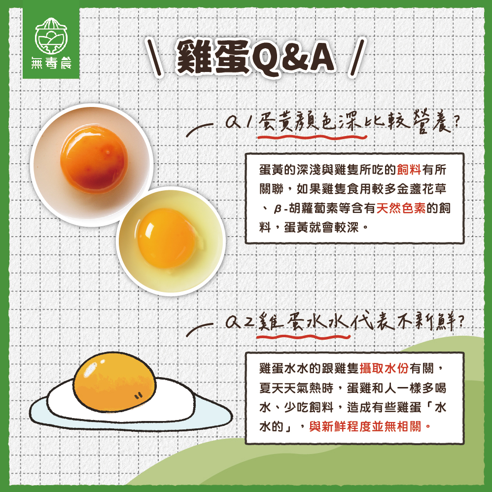 雞蛋 雞蛋料理 蛋黃顏色 蛋殼顏色 雞蛋比較 機能蛋 紅殼蛋 雞蛋營養 蛋營養 蛋殼粗 蛋殼粗糙 蛋殼光滑 葉黃素