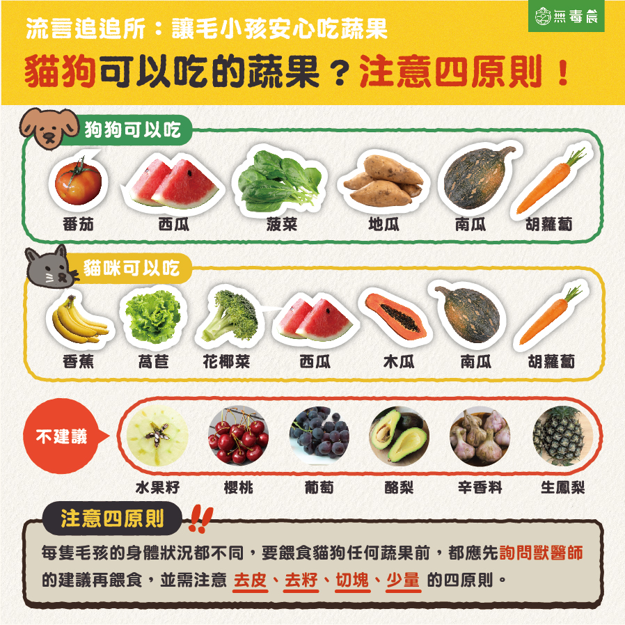 貓狗可以吃的蔬果 注意四原則 蔬菜 貓狗 水果 蔬果 貓狗可以吃 狗狗貓咪 安心