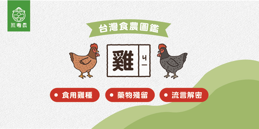 雞肉有生長激素？如何去除雞肉腥味？雞肉常見問題懶人包！