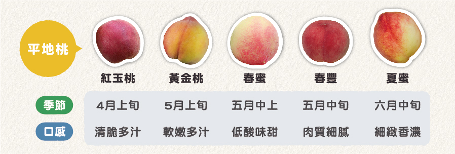 ５種高山桃個別季節與口感比較