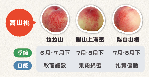 三種高山桃個別季節與口感比