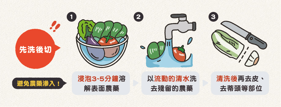 蔬菜清洗 蔬果清洗 蔬菜 水果 包葉菜 葉菜類清洗 農藥清洗 農藥殘留 蔬果怎麼洗 