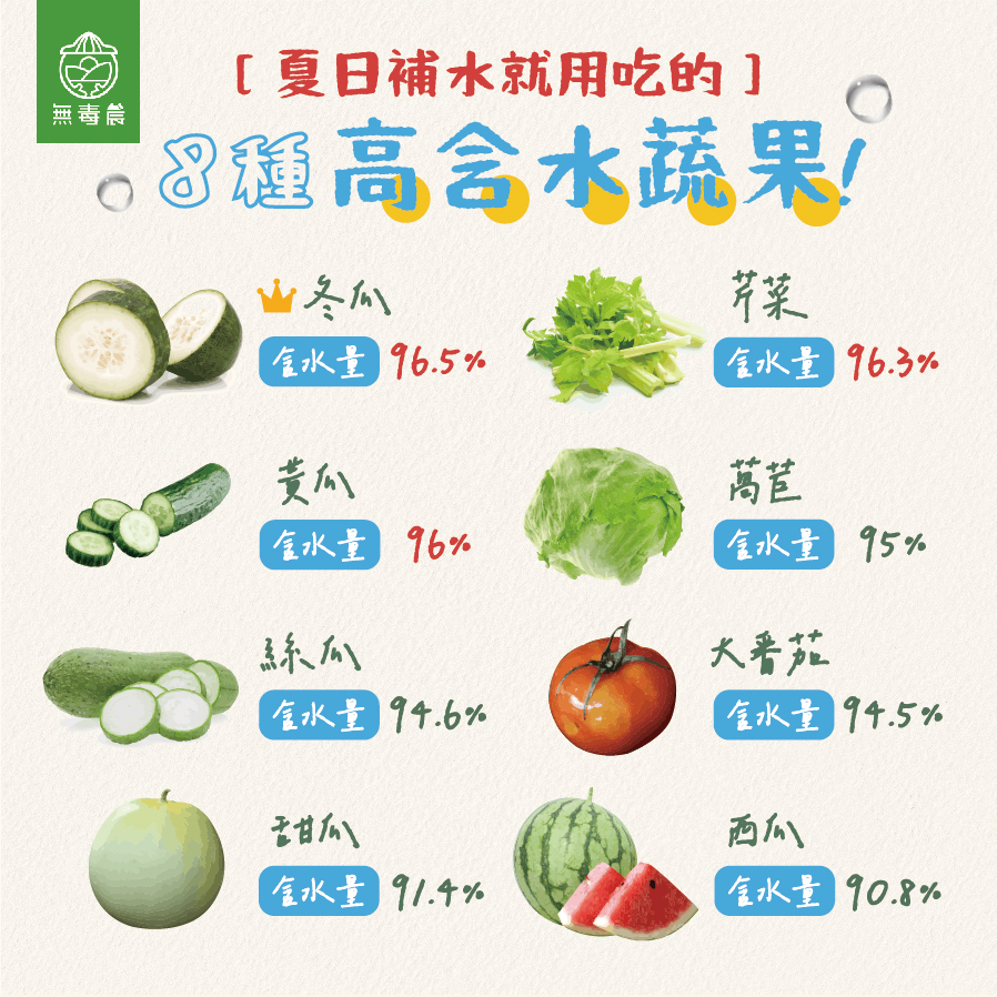 夏日補水 蔬果補水 蔬菜水果 黃瓜 冬瓜 西瓜 番茄 絲瓜 甜瓜 萵苣 芹菜