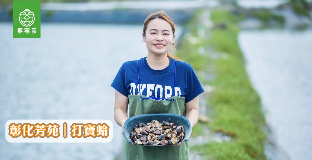 台灣文蛤職人系列｜海洋之寶：全台唯一有機文蛤的代表「打寶蛤」