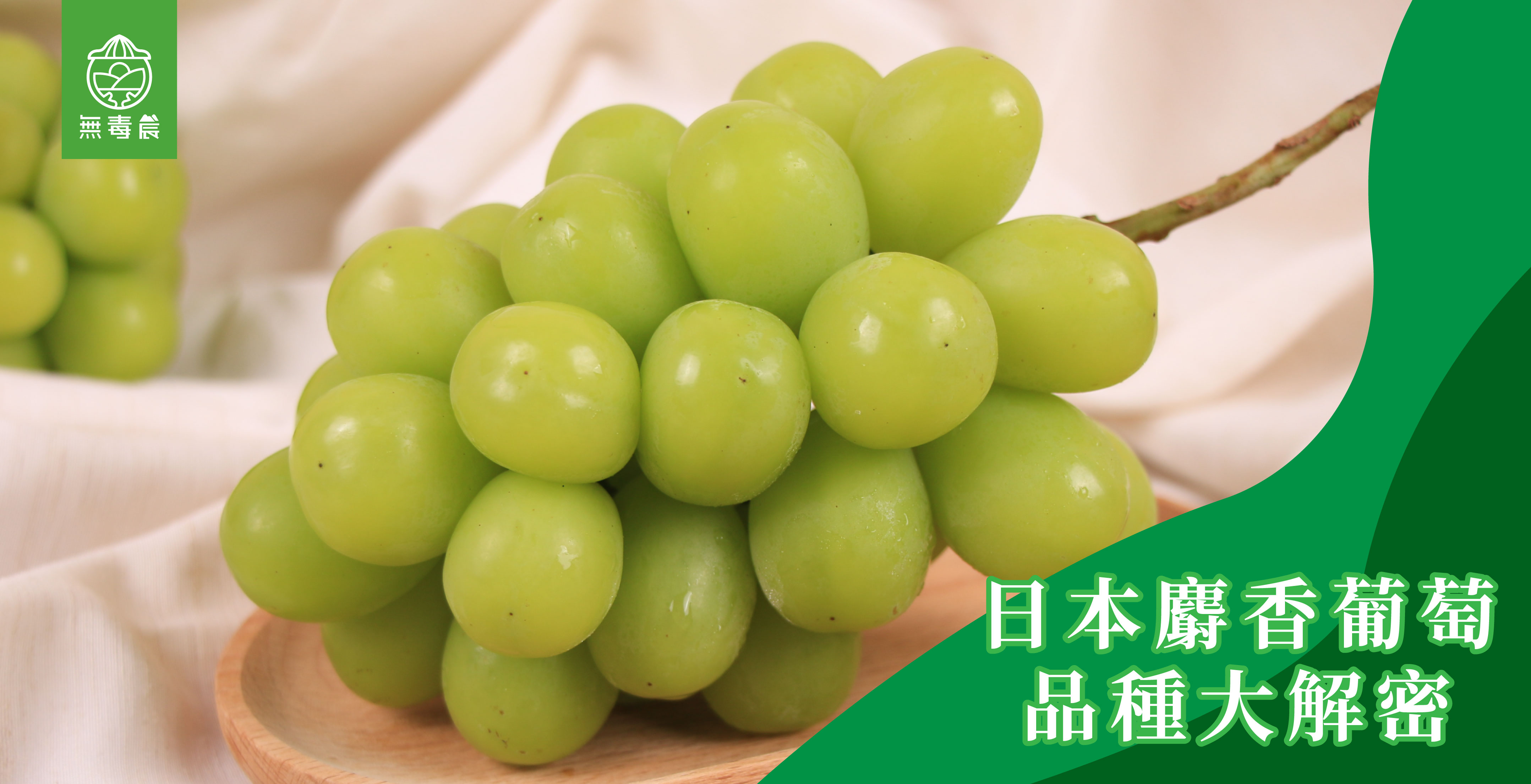 麝香葡萄該怎麼挑？日本水果「秀」是什麼？成為麝香葡萄達人看這！