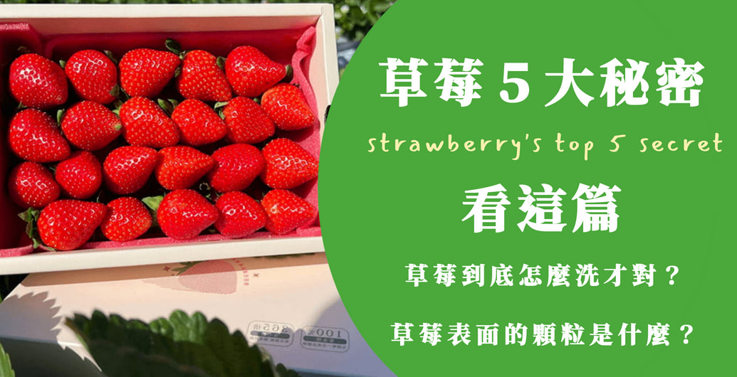 草莓到底怎麼洗才對？草莓表面的顆粒是什麼？草莓５大秘密看這篇