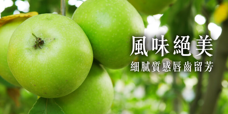 無毒農 蘋果 小農 青龍 蜜蘋果 清脆 香氣 網購 台灣 甜美 無毒 有機 安心 水果 友善環境 支持小農