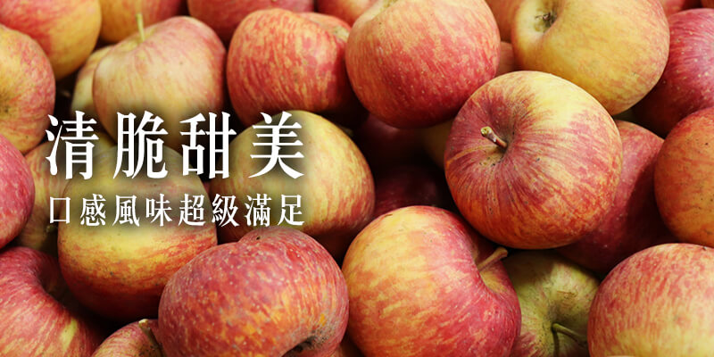無毒農 蘋果 小農 紅惠 花惠 蜜蘋果 清脆 香氣 網購 台灣 甜美 無毒 有機 安心 水果 友善環境 支持小農