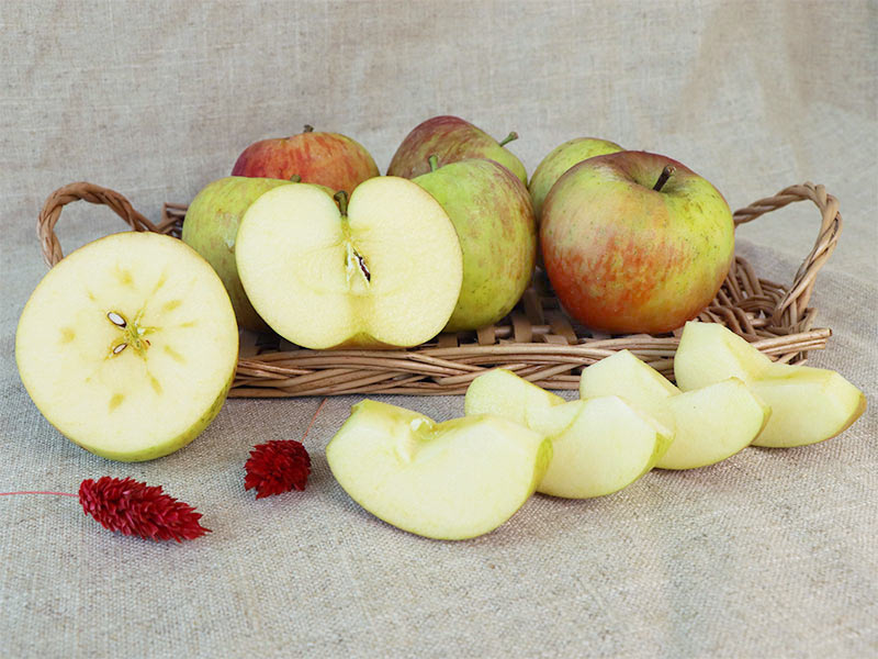 蜜蘋果,蘋果,榮興果園,無毒水果,紅蘋果,蜜腺,結蜜,無毒農,水果,水果禮盒,送禮,自然農法,梨山
