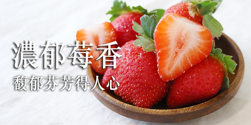 蘋果草莓,草莓,有機,無毒農,小農,桃園