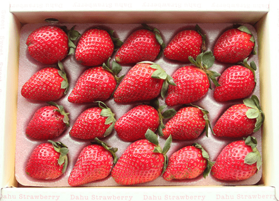 草莓,有機草莓,香水草莓,新竹,好姬會
