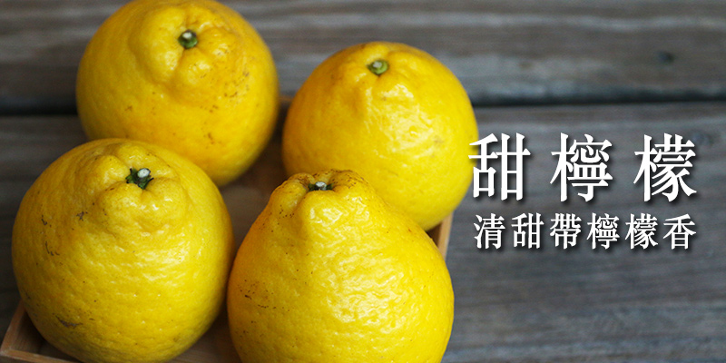 三寶柑甜檸檬