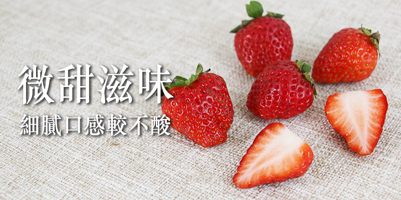 草莓,有機草莓,優雪,嘉義