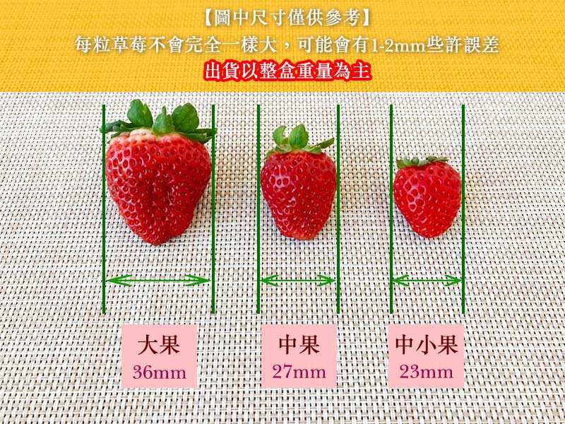 草莓,有機草莓,心心有機,無毒草莓,嘉義