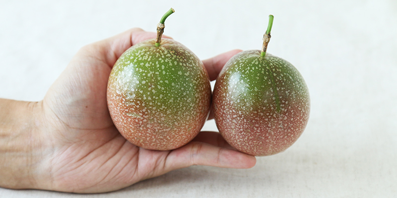 滿天星百香果有別於台灣常見的傳統百香果(台農一號)，果皮顏色偏紅，上面有如同滿天繁星的白色斑點，外表上十分討喜。它有另一個可愛的名字叫「蜜糖百香果」，果實較大，甜度可以達16、17度以上，果肉酸中帶甜，是可以直接食用的品種，但香氣不如傳統百香果濃郁，較不適合泡茶或做果醬等加工。