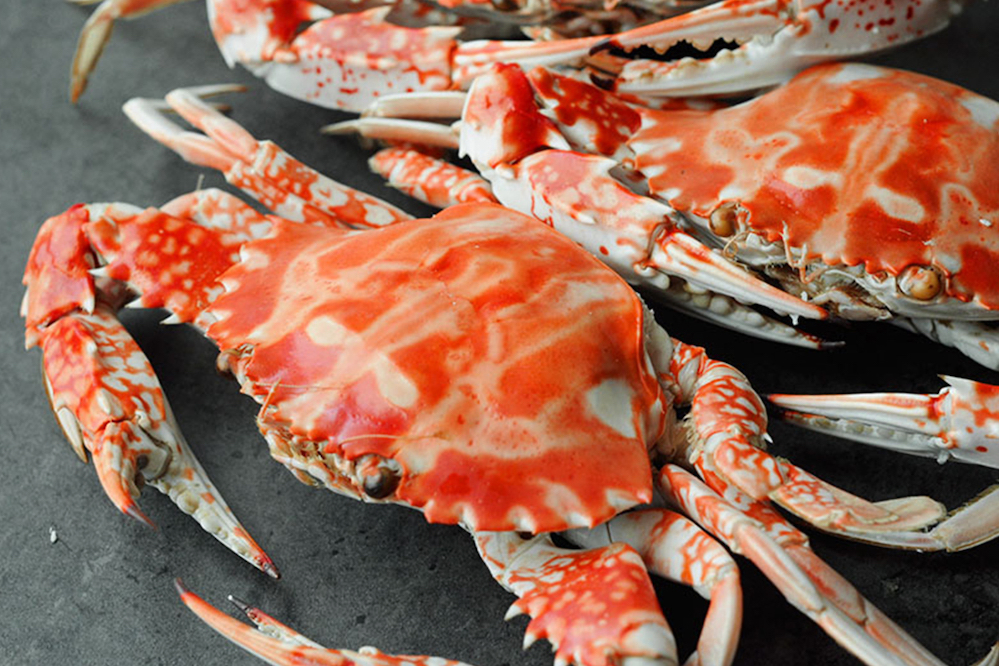 螃蟹要怎麼煮？只要簡單烹飪３步驟，在家清蒸螃蟹即刻上桌！