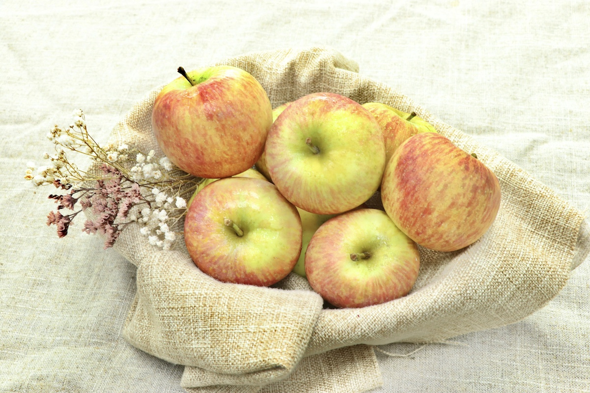 梨山蜜蘋果職人系列｜「甜莃果園」清脆蜜蘋果，科技新貴的一片孝心