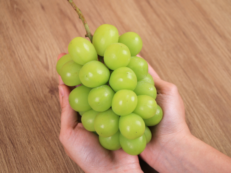 麝香葡萄該怎麼挑？日本水果「秀」是什麼？成為麝香葡萄達人看這！