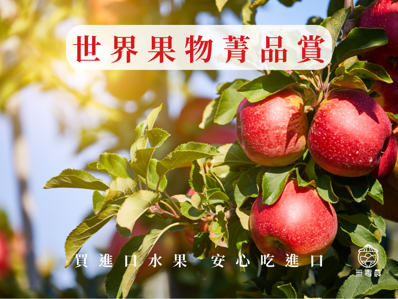 ７種人氣日本「青森蘋果」品種懶人包！青森蜜蘋果口感產季一圖懂