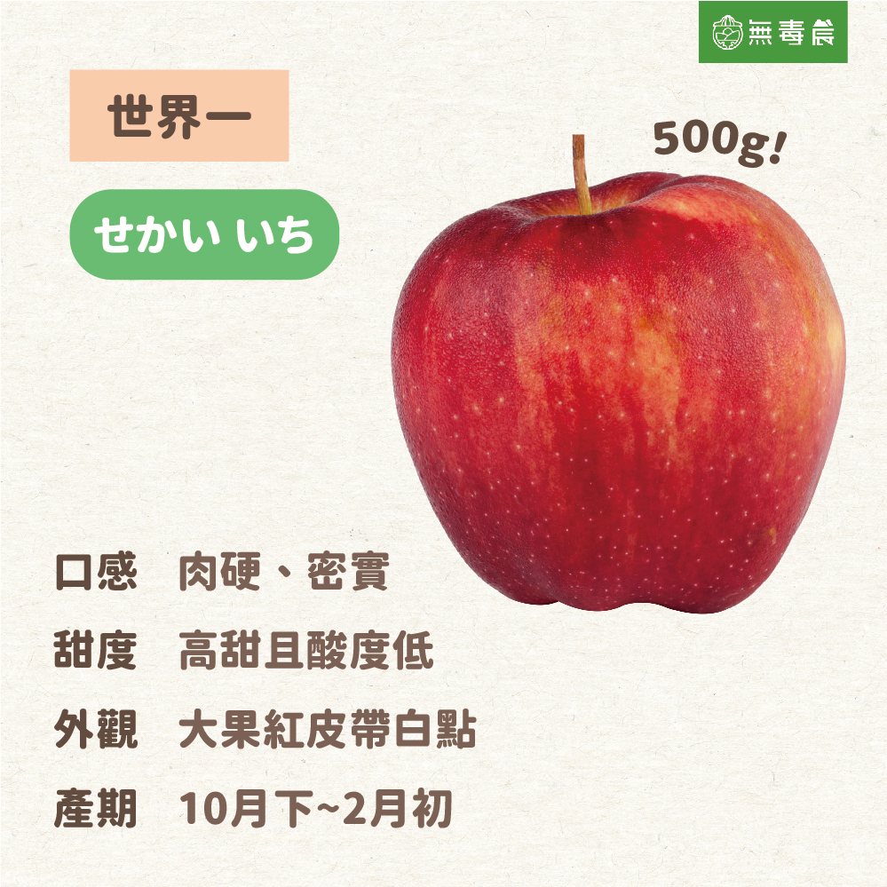 日本蘋果 青森蘋果 富士蘋果 津輕蘋果 王林 土岐TOKI 世界一 紅顏姬 金星蘋果