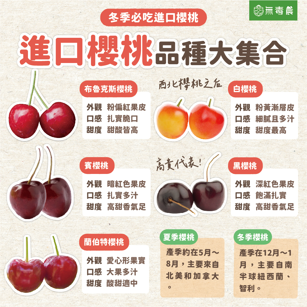 「進口櫻桃」各種品種超詳細圖解！圖解５種世界主要櫻桃品種差異